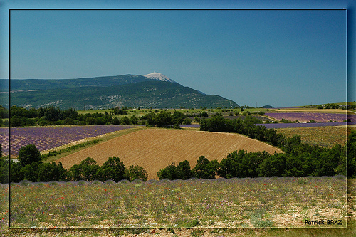 Couleurs de l'été, champs de couleurs by Patchok34