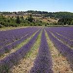 Montbrun les Bains et sa région (26) par Rémi Avignon - Montbrun les Bains 26570 Drôme Provence France