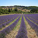 Montbrun les Bains et sa région (26) par Rémi Avignon - Montbrun les Bains 26570 Drôme Provence France