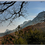 Pentes boisées - Sainte-Jalle by Charlottess -   Drôme Provence France