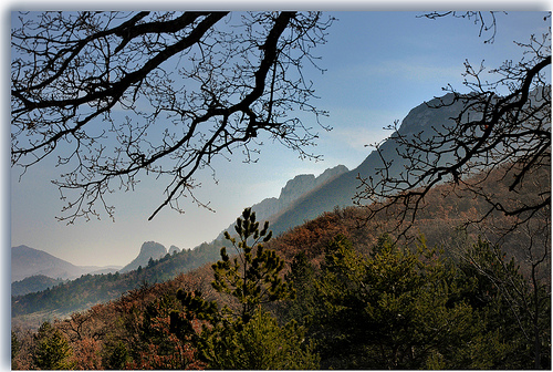 Pentes boisées - Sainte-Jalle by Charlottess