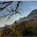 Pentes boisées - Sainte-Jalle par Charlottess -   Drôme Provence France