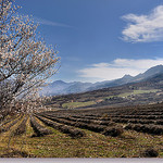 La douce vallée - Sainte-Jalle par Charlottess -   Drôme Provence France