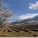 La douce vallée - Sainte-Jalle by Charlottess -   Drôme Provence France