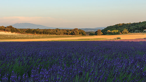 Paysage coloré de Réauville en Drôme provençale par sergegoujon