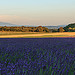 Paysage coloré de Réauville en Drôme provençale par sergegoujon - Réauville 26230 Drôme Provence France