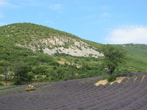 Drôme provençale by k.deperrois