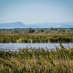 Aigues-Mortes par Bobbex - Aigues-Mortes 30220 Gard Provence France