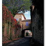 Soustet à Laudun-l'Ardoise par ALAIN BORDEAU -   Gard Provence France