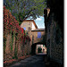 Soustet à Laudun-l'Ardoise par ALAIN BORDEAU -   Gard Provence France
