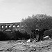 Aqueduc : Pont du Gard de Remoulins par Cilions - Vers-Pont-du-Gard 30210 Gard Provence France