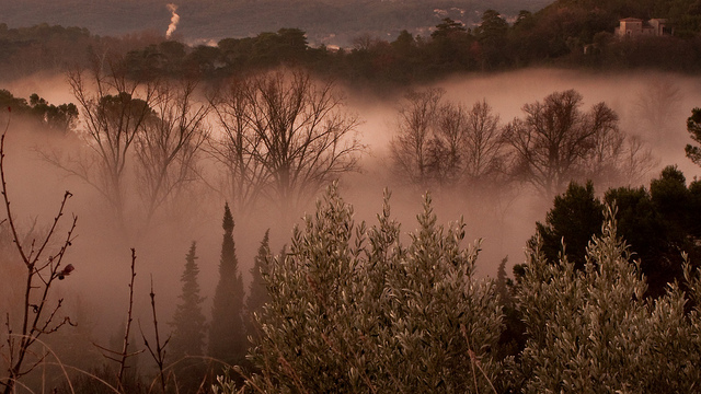 Brume sur l'Alzon (Gard - Uzès) par franc34