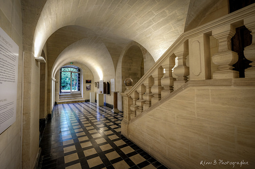 Abbaye du Fort St André by Rémi Avignon