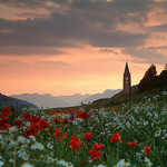 Ceillac, Sainte Cecile par Laurence_ - Ceillac 05600 Hautes-Alpes Provence France