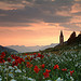 Ceillac, Sainte Cecile by Laurence_ - Ceillac 05600 Hautes-Alpes Provence France