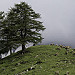 Le col du Parpaillon et ses moutons - montagne par Duez05 - Crevoux 05200 Hautes-Alpes Provence France