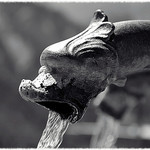 Fontaine à Saint-Véran by Alain Cachat - Saint-Véran  05350 Hautes-Alpes Provence France