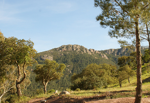 Massif de l'Esterel par spencer77