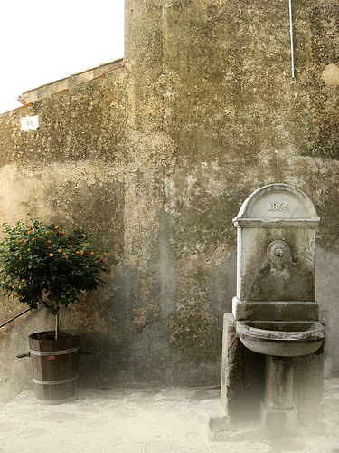 Fontaine 1833 - Bormes-Les-Mimosas by funkyflamenca