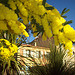 Bormes-les-Mimosas, Var. par Only Tradition - Bormes les Mimosas 83230 Var Provence France