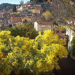 Bormes-les-Mimosas, Var. par Only Tradition - Bormes les Mimosas 83230 Var Provence France
