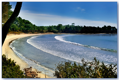 Plage de l'Estagnol - Bormes-les-Mimosas by Charlottess