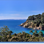 Pointe de Léoube - Bormes-les-Mimosas par Charlottess - Bormes les Mimosas 83230 Var Provence France