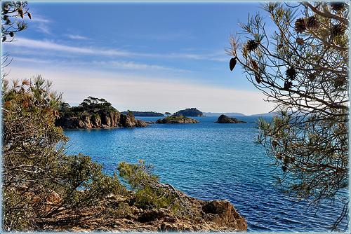 Ilôts de l'Estagnol - Bormes-les-Mimosas par Charlottess