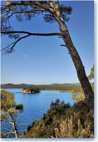 Ilôt de Léoube - Bormes-les-Mimosas by Charlottess