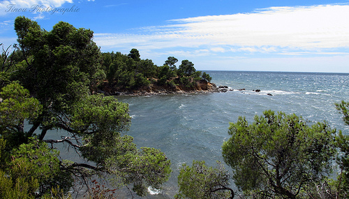 La côte varoise et sauvage à Bormes les mimosas par Tinou61