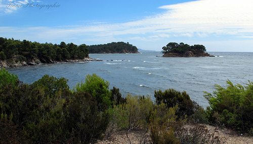 Randonnée le long de la côte varoise à Bormes les mimosas par Tinou61