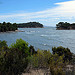 Randonnée le long de la côte varoise à Bormes les mimosas par Tinou61 - Bormes les Mimosas 83230 Var Provence France