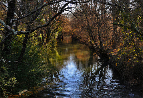 Cour d'eau : Argens mystérieux...  by Charlottess