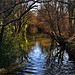 Cour d'eau : Argens mystérieux...  par Charlottess - Brue Auriac 83119 Var Provence France