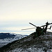 Exercice militaire avec LeTigre par jose nicolas photographe - Plan de Canjuers 83998 Var Provence France