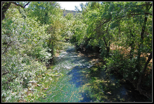 Green ! River at Correns France par M.Andries