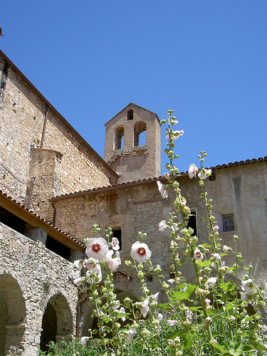 Draguignan - Dracenie by Dracénie Tourisme Var Provence