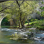 Printemps dans le Haut-Var  par myvalleylil1 - Entrecasteaux 83570 Var Provence France