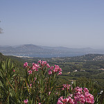 Côte d'Azur : Golfe de Saint Tropez par cpqs - Gassin 83580 Var Provence France