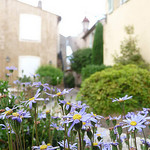 Ruelle à Gassin by Niouz - Gassin 83580 Var Provence France