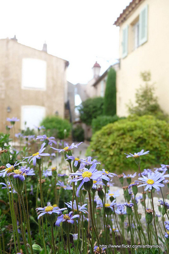 Ruelle à Gassin par Niouz