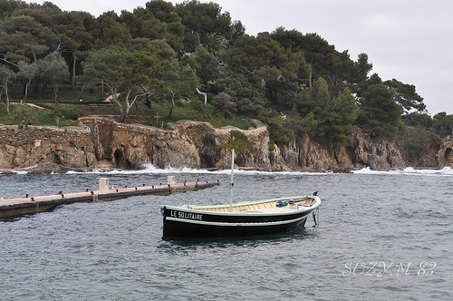 Port du Niel (Presqu'île de Giens) by SUZY.M 83