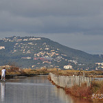 Route du sel à Giens by SUZY.M 83 - Giens 83400 Var Provence France