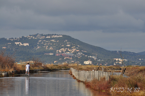 Route du sel à Giens by SUZY.M 83