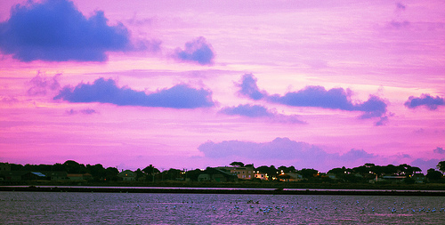 Ciel violet de Giens par Macré stéphane