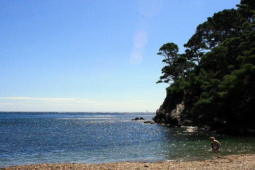 Plage du Pontillon sur la Presqu'île de Giens by Seb+Jim