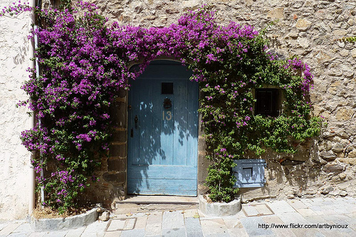 Porte ancienne fleurie par Niouz