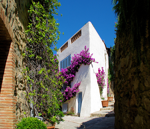 The white house in Grimaud by Morpheus © Schaagen