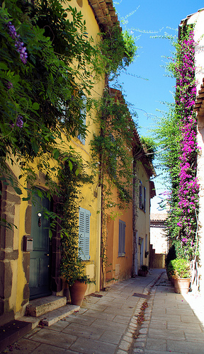 Ruelle à Grimaud par Morpheus © Schaagen