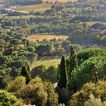 Vue depuis le château - Grimaud by Charlottess - Grimaud 83310 Var Provence France